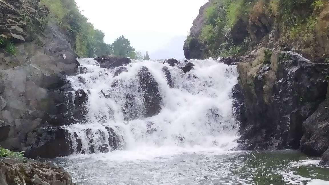 次元喵