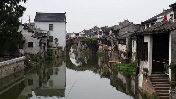 辛芷蕾这么多年都没有火起来的原因？